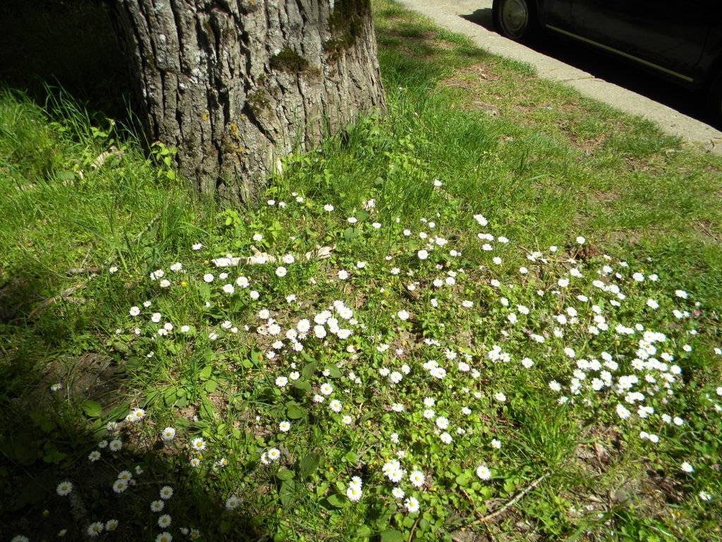2015-05-06 10.57.39 .jpg
